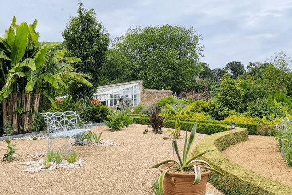 Formal garden at Felbrigg Hall with gravel paths, clipped hedges, tropical-style plants, and a glasshouse in the background.