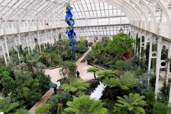 Interior view of the Palm House at Kew Gardens in London, featuring lush tropical plants, towering tree ferns, and a striking blue glass sculpture beneath the historic Victorian glasshouse structure.