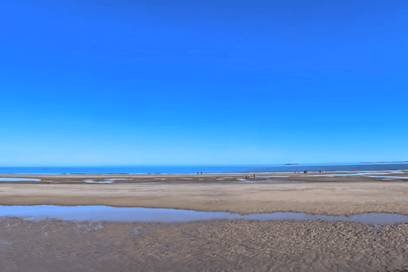 Wide view of Bamburgh Beach at low tide with expansive golden sands, shallow tidal pools, and the North Sea stretching beneath a clear blue sky in Northumberland.