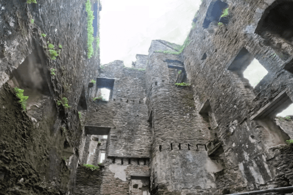 Interior view of Berry Pomeroy Castle’s ruined stone walls with empty window openings and moss-covered surfaces.