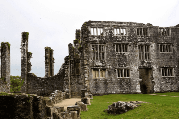 Ruined stone walls and window arches of Berry Pomeroy Castle surrounded by grass and woodland.