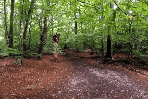 Woodland trail through Epping Forest at High Beach, Essex, surrounded by ancient beech trees, lush green foliage, and a peaceful forest floor.