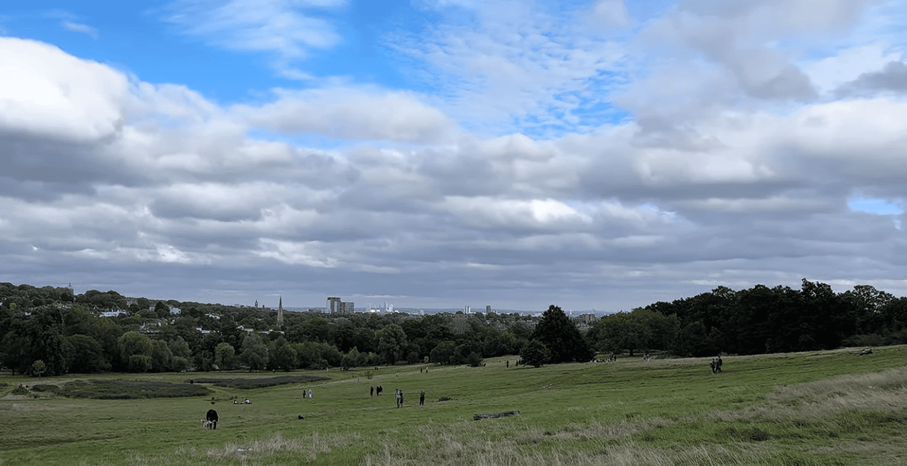 Panoramic view across Hampstead Heath in London, showing open grassland, scattered walkers, mature woodland, and distant city skyline beneath dramatic clouds.