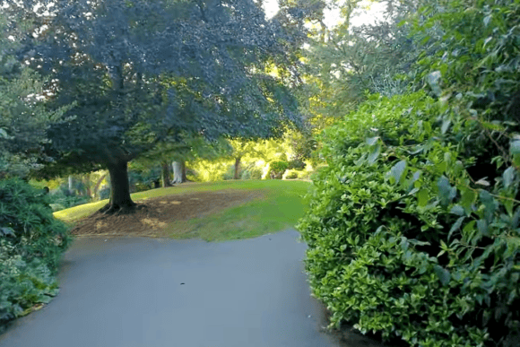 Tree-lined pathway through Hampstead Heath, London, surrounded by mature woodland, lush green shrubs, and open grassy lawns in peaceful parkland.