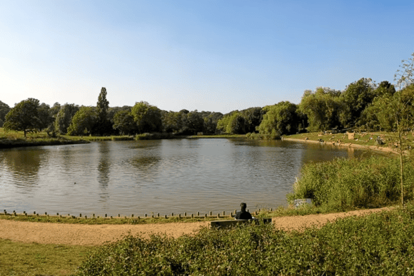 Peaceful pond at Hampstead Heath, London, surrounded by mature trees, lush greenery, and visitors relaxing beside the water on a sunny day.
