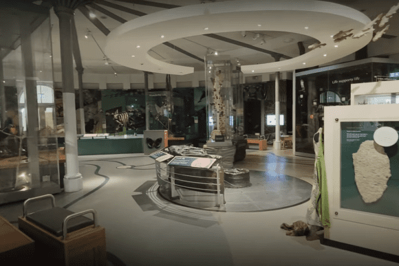 Interactive natural history gallery inside Leeds City Museum featuring immersive exhibits, fossil displays, wildlife specimens, educational panels, and modern circular lighting design.