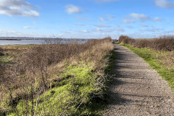 Gravel walking trail through RSPB Rainham Marshes Nature Reserve, bordered by grassland and wetlands with views across the Thames Estuary under a bright blue sky in Essex.