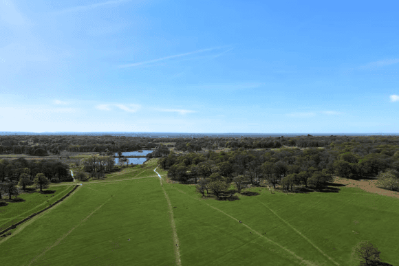 Panoramic view across Richmond Park in London, featuring expansive green meadows, woodland, walking trails, and Pen Ponds beneath a clear blue sky.
