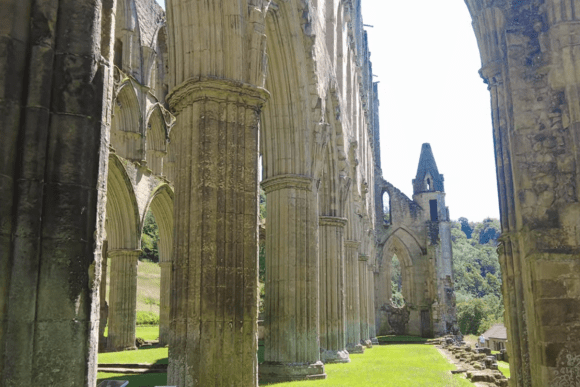 Stone columns and Gothic arches at Rievaulx Abbey in North Yorkshire, England, with sunlight illuminating the historic ruins and surrounding greenery.
