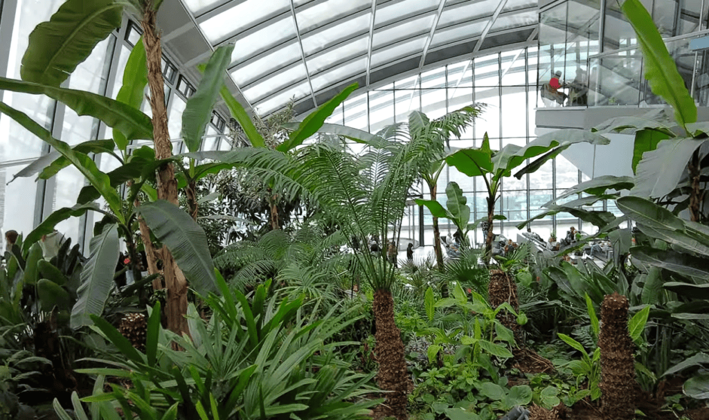 Lush tropical plants inside Sky Garden, London, beneath a striking glass atrium with modern architecture, indoor gardens, and visitors enjoying the space.