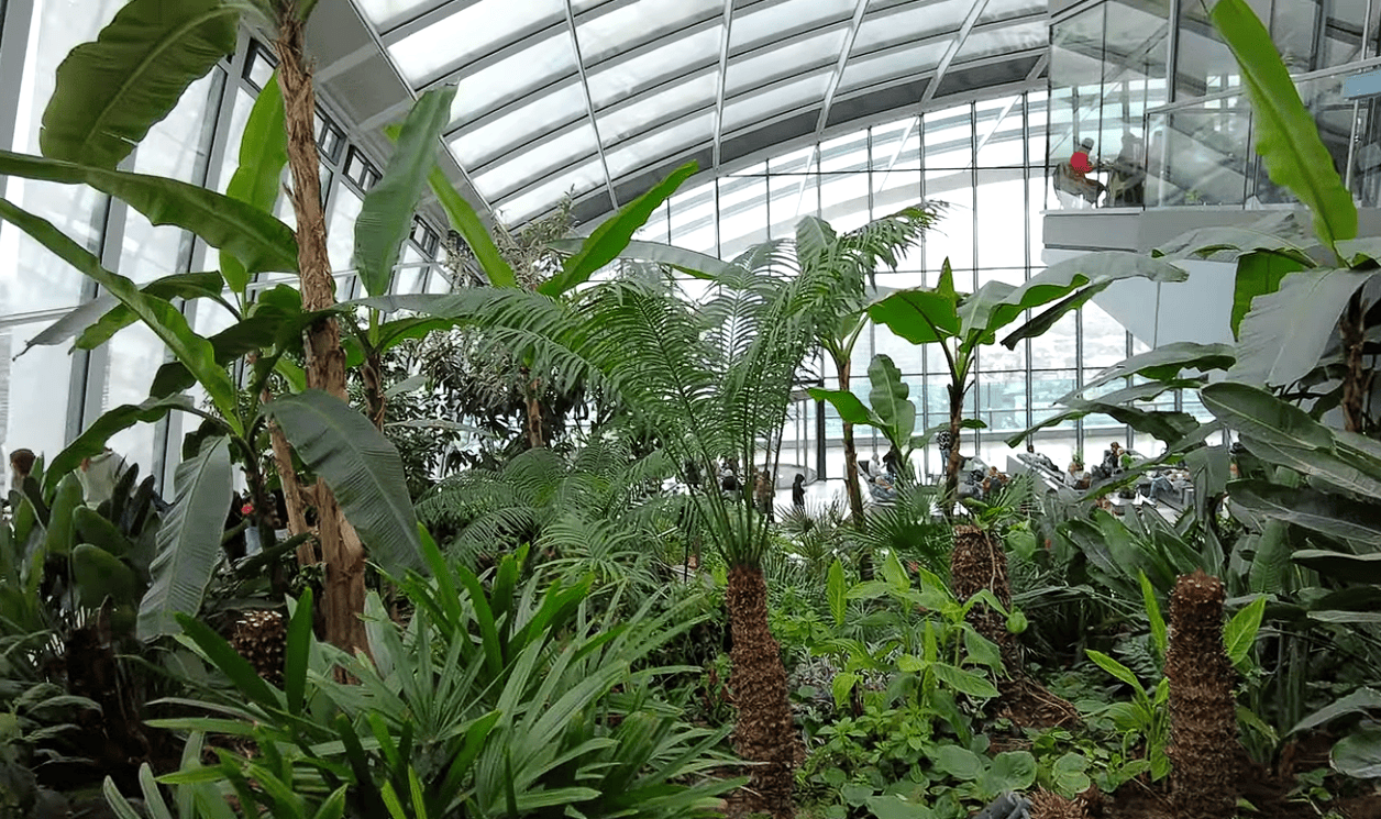 Lush tropical plants inside Sky Garden, London, beneath a striking glass atrium with modern architecture, indoor gardens, and visitors enjoying the space.