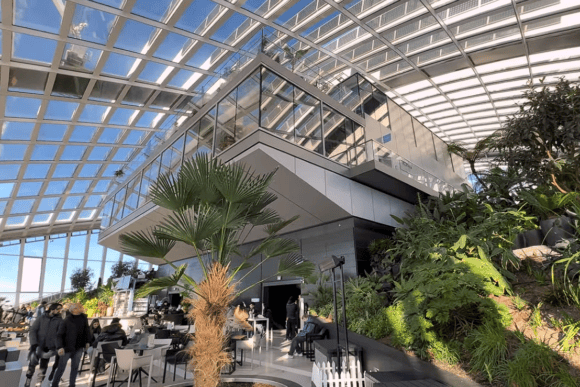 Interior of Sky Garden in London featuring modern glass architecture, lush tropical gardens, outdoor-style seating, and visitors enjoying panoramic city views.