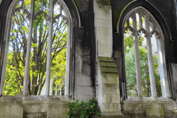 St Dunstan in the East Gothic arched windows with trees growing through church ruins in London garden setting.