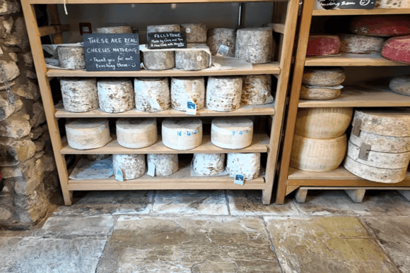 Traditional cheese maturation room at The Courtyard Dairy featuring handcrafted British cheese wheels ageing on wooden shelves in a specialist cheese store.