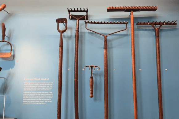 Historic gardening tools displayed at The Garden Museum in London, featuring traditional wooden-handled rakes, hoes, spades, and weed-control implements mounted against a blue exhibition wall.