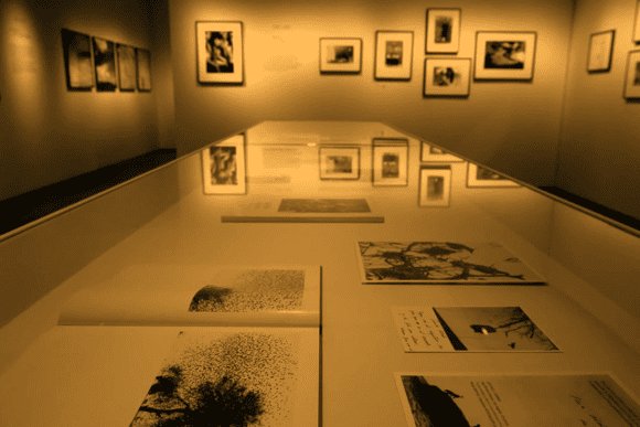 Exhibition space inside The Photographers’ Gallery in London featuring framed photographic artworks, documentary prints, and archival materials displayed in a glass showcase under gallery lighting.