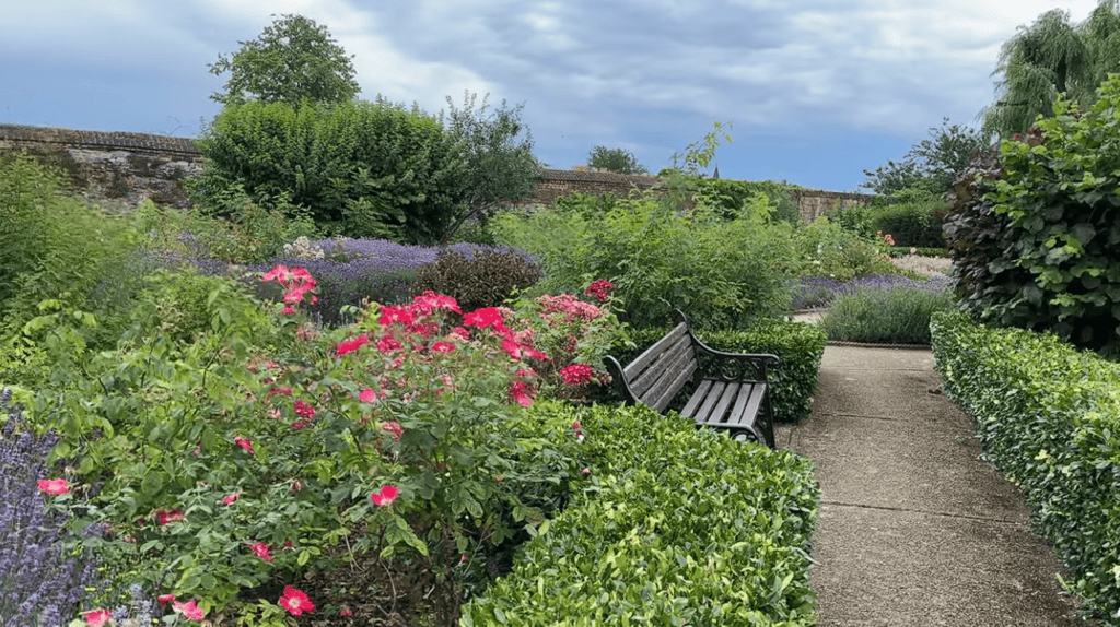 Colourful flower beds and landscaped pathways in Waltham Abbey Gardens, Essex, featuring blooming roses, lavender, manicured hedges, and a peaceful garden bench.