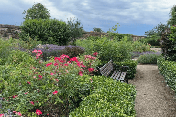 Colourful flower beds and landscaped pathways in Waltham Abbey Gardens, Essex, featuring blooming roses, lavender, manicured hedges, and a peaceful garden bench.