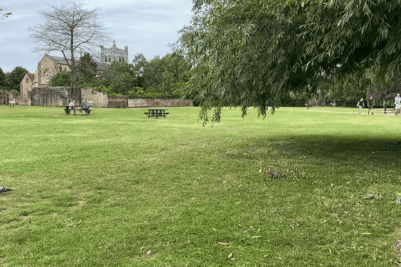 Wide lawn at Waltham Abbey Gardens with mature trees, picnic benches, and views of the historic Waltham Abbey church surrounded by peaceful parkland in Essex.