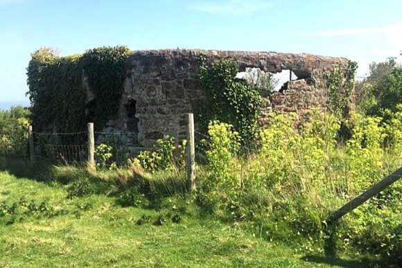 Low stone ruins at Daw’s Castle, partly covered in ivy and surrounded by grass and wild plants.